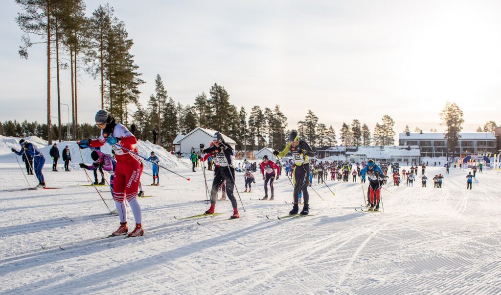 Hiihtäjiä ladulla aurinkoisessa lumimaisemassa.
