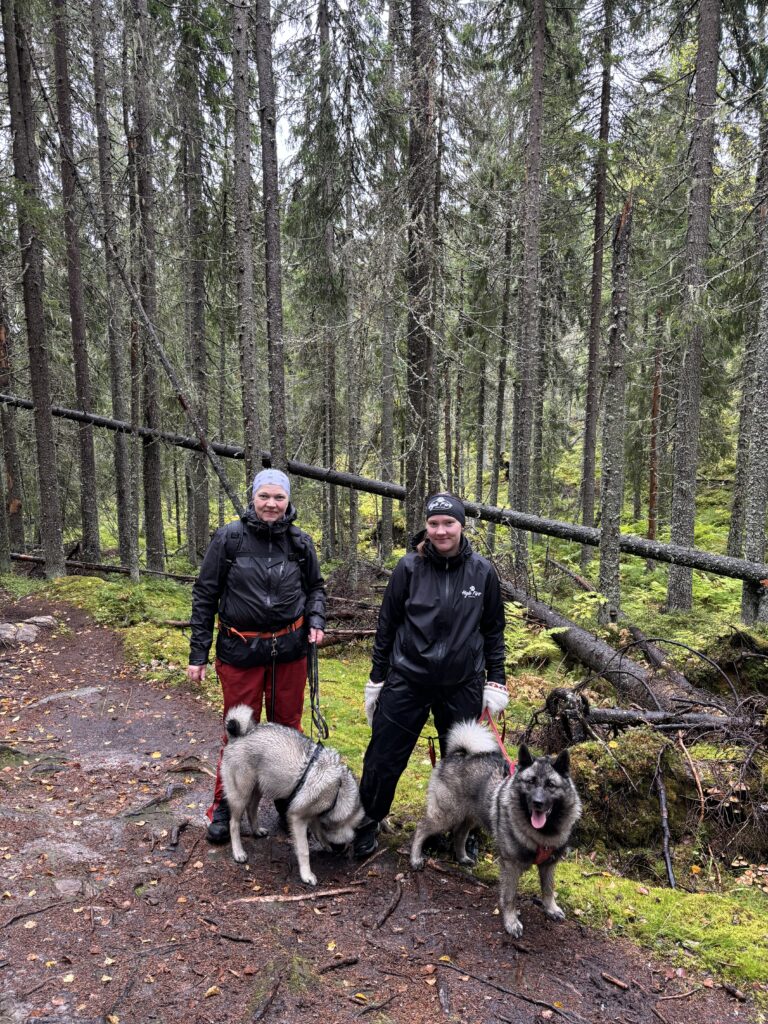 Kaksi henkilöä seisoo saiteisessa metsässä kahden koiran kanssa.